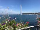 Geneva is a beautiful place in the spring -- this is a photograph of Lake Geneva (or, in French: Lac Leman)