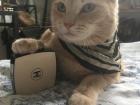 Nala with her Chanel 