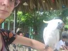 I held a bird at a cafe, that seemed happy and healthy