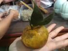 A student picked this off of a nearby tree.  Do you know what it is?