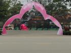 I bet many people will take pictures underneath this peach blossom gate