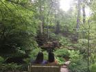 Two of my best friends and I found a hidden park in the woods. It even had a guest book!