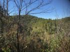 A hike I took outside of Santiago back in the fall