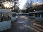 Art exhibit currently displayed in Alumeda Park