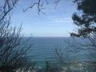 Looking out at the Cantabrian Sea through the trees.