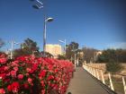 El puente de las flores (Flower Bridge) in Valencia