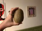 Dessert time... have you ever seen a kiwi this big?
