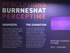 Just last week, the National Gallery hosted opening night for Perceptions, an exhibition put on by British and Kosovar female artists