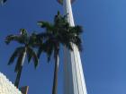 The Kuala Lumpur Tower