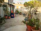 Our roof garden is a great place to hang out and read on sunny days