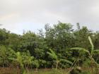 One afternoon while we were catching up on rest and reading, a full rainbow appeared over the jungle