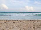The beaches along the coast of Quintana Roo were some of the most beautiful I have ever seen