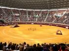 This is the bullring in Logroño. I did not attend a bullfight, but there were baby bulls jumping through obstacles. It was a "touristy" thing to do when I first arrived.