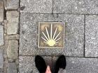 Look down at your feet! Walking is the most common form of transportation in Logroño.