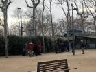 Retirees playing bocce (a game involving throwing weighted balls) in the park