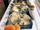 These are the different kinds of local and fresh mushrooms from the region