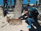 Some deer even let us pet them