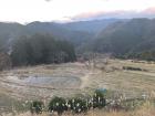 In order to grow rice, farmers soak the rice fields in water