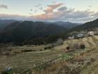 Terraced farms are carved into mountains like stairs