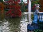 A lake in Retiro Park