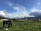 A great view of the Imbabura mountain, but you can also see some unfortunate litter and pollution 