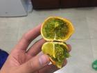 Naranjilla, or little orange
