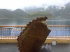 An empanada de queso I enjoyed at the lake