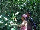 Our tour guide showing my mom an edible plant in the Amazon (it tasted a bit sour, but I liked it!)