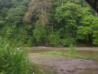 View of river in the montains of Arenal from the bank