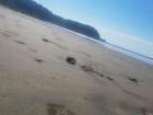 Playa Jacó at low tide