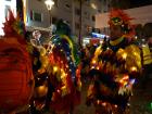 These band performers were dressed as brightly colored birds 