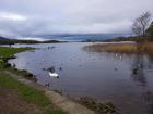 The lake by Ross Castle 