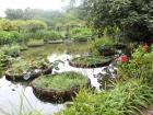 Pond islands floating inside a botanical garden in Taipei