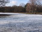 A snowy park near the Brandenburg Gate, where I saw some people walking their dogs