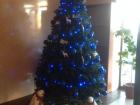 A Christmas Tree in a Hotel in Khovd