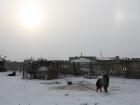 A snowy morning on the first day of Tsagaan Tsar