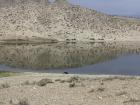 A horse grazes next to a small lake 