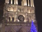 The magnificent Notre-Dame Cathedral during the night decorated with a little Christmas tree