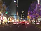 A street filled with lit trees during Christmas