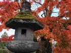 A stone lantern covered with moss and autumn leaves