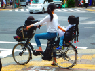 A mother and her two kids on a bike