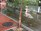 The aftermath of a typhoon in China