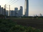 China has developed from a farming culture to a city culture very fast