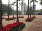 Just like Guangzhou, Shenzhen has a tropical climate