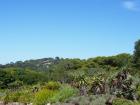 Views from Kirstenbosch Gardens
