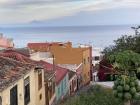 A papaya tree, colorful houses, flowers and a view of another island on my walk to school