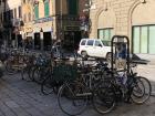 Lots and lots of bikes parked along the street