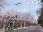 Enjoying a bike ride near Han river during the weekend