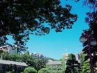 I graduated from Yonsei University