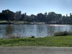 The river in HaYarkon Park.